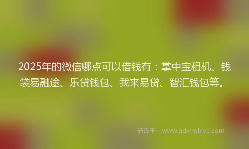 2025年的微信哪点可以借钱有：掌中宝租机、钱袋易融途、乐贷钱包、我来易贷、智汇钱包等。