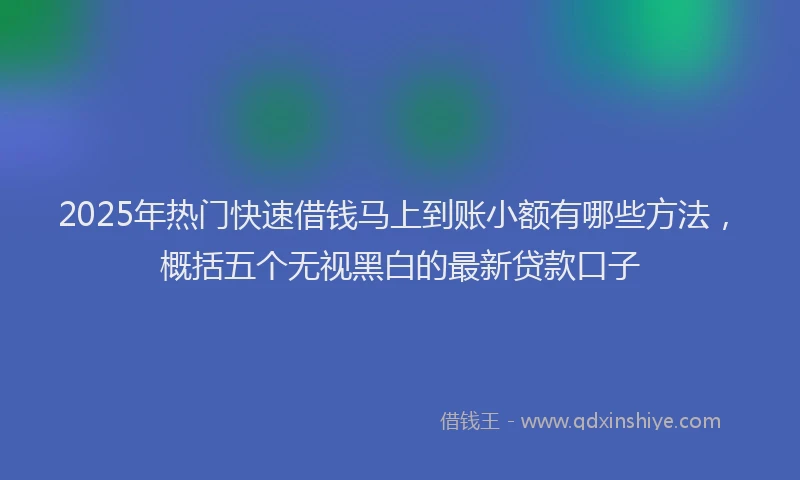 2025年热门快速借钱马上到账小额有哪些方法，概括五个无视黑白的最新贷款口子