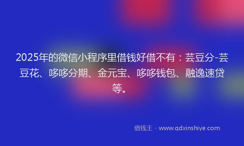 2025年的微信小程序里借钱好借不有：芸豆分-芸豆花、哆哆分期、金元宝、哆哆钱包、融逸速贷等。