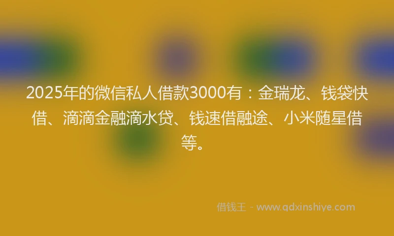 2025年的微信私人借款3000有:金瑞龙、钱袋快借、滴滴金融滴水贷、钱速借融途、小米随星借等。