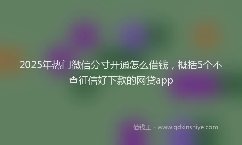 2025年热门微信分寸开通怎么借钱，概括5个不查征信好下款的网贷app