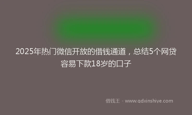 2025年热门微信开放的借钱通道，总结5个网贷容易下款18岁的口子