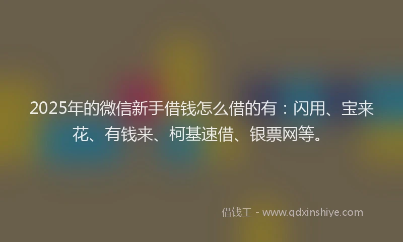 2025年的微信新手借钱怎么借的有：闪用、宝来花、有钱来、柯基速借、银票网等。