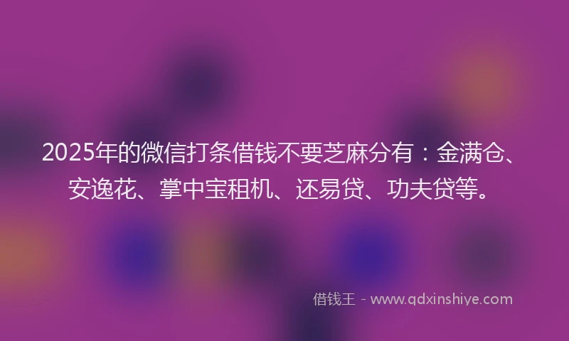 2025年的微信打条借钱不要芝麻分有：金满仓、安逸花、掌中宝租机、还易贷、功夫贷等。