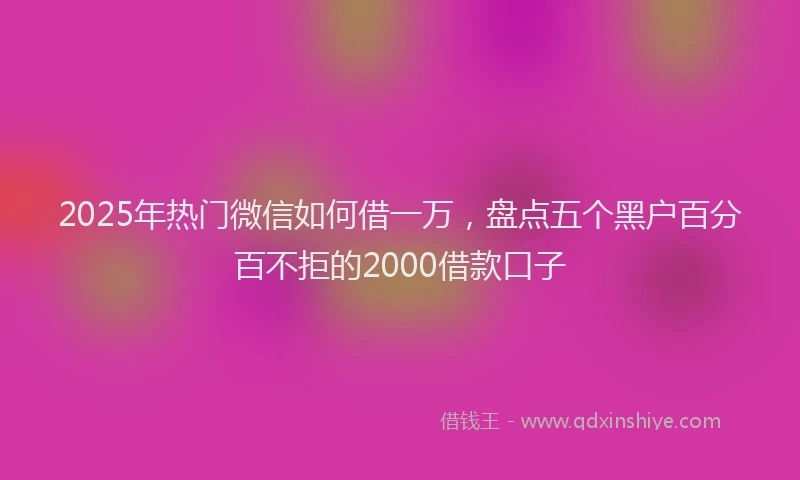 2025年热门微信如何借一万，盘点五个黑户百分百不拒的2000借款口子