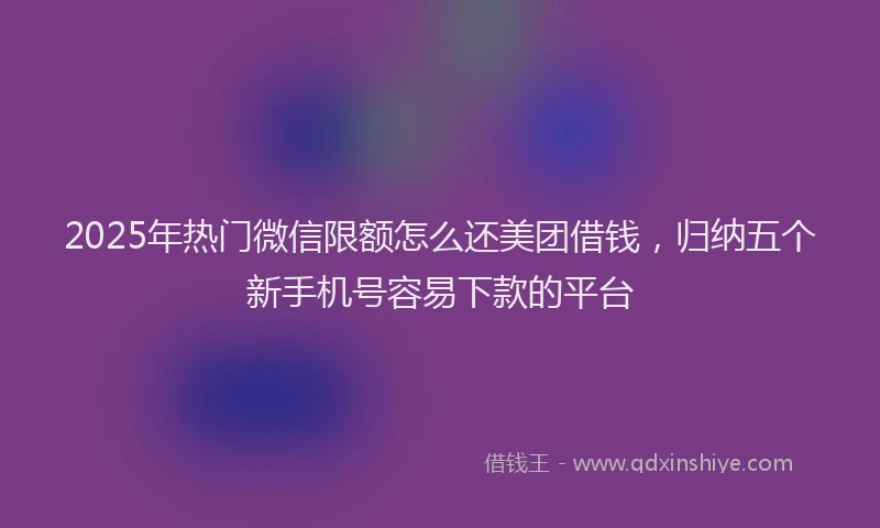 2025年热门微信限额怎么还美团借钱，归纳五个新手机号容易下款的平台