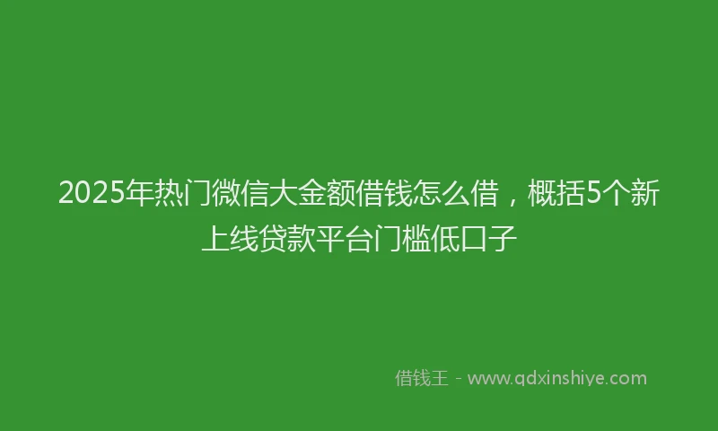 2025年热门微信大金额借钱怎么借，概括5个新上线贷款平台门槛低口子