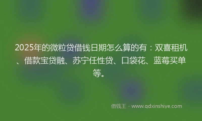 2025年的微粒贷借钱日期怎么算的有：双喜租机、借款宝贷融、苏宁任性贷、口袋花、蓝莓买单等。