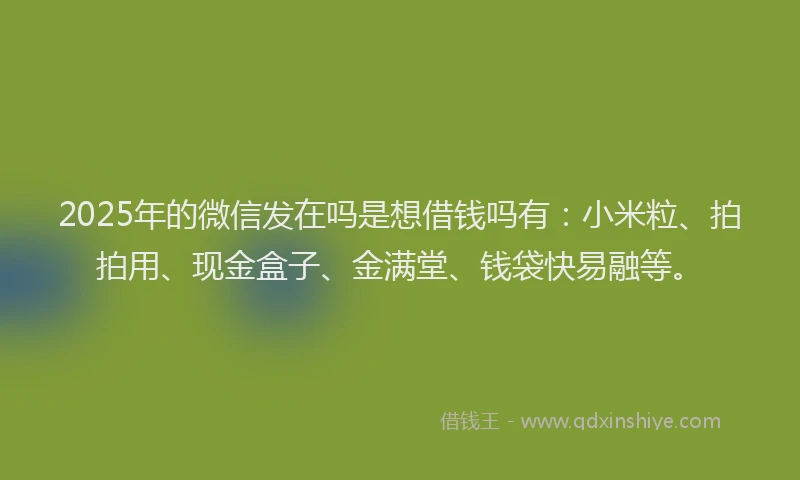 2025年的微信发在吗是想借钱吗有：小米粒、拍拍用、现金盒子、金满堂、钱袋快易融等。