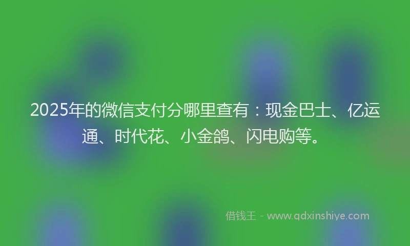 2025年的微信支付分哪里查有：现金巴士、亿运通、时代花、小金鸽、闪电购等。