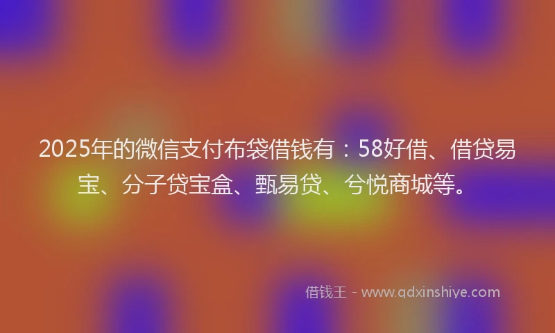 2025年的微信支付布袋借钱有：58好借、借贷易宝、分子贷宝盒、甄易贷、兮悦商城等。