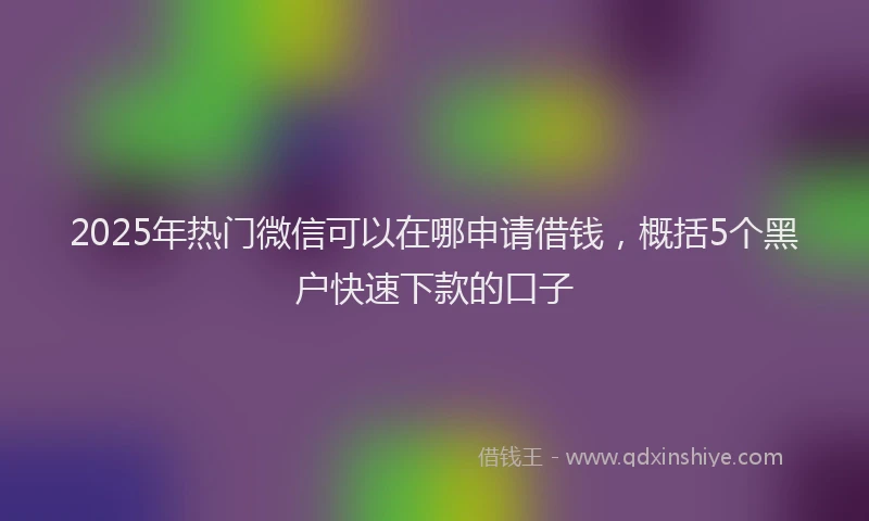 2025年热门微信可以在哪申请借钱，概括5个黑户快速下款的口子