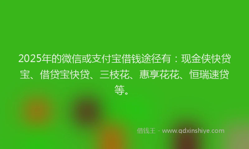 2025年的微信或支付宝借钱途径有：现金侠快贷宝、借贷宝快贷、三枝花、惠享花花、恒瑞速贷等。