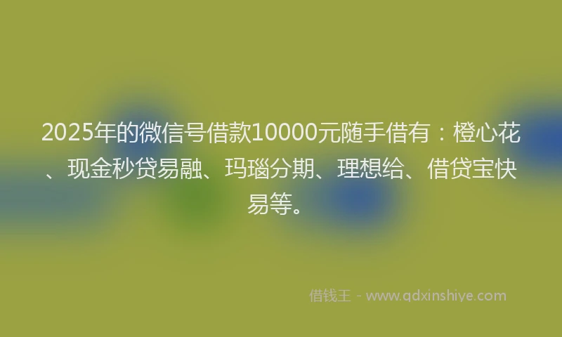 2025年的微信号借款10000元随手借有：橙心花、现金秒贷易融、玛瑙分期、理想给、借贷宝快易等。