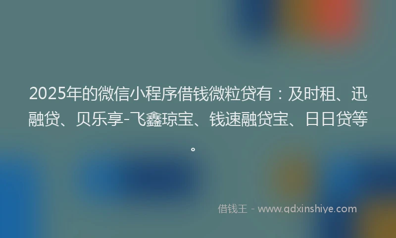 2025年的微信小程序借钱微粒贷有：及时租、迅融贷、贝乐享-飞鑫琼宝、钱速融贷宝、日日贷等。
