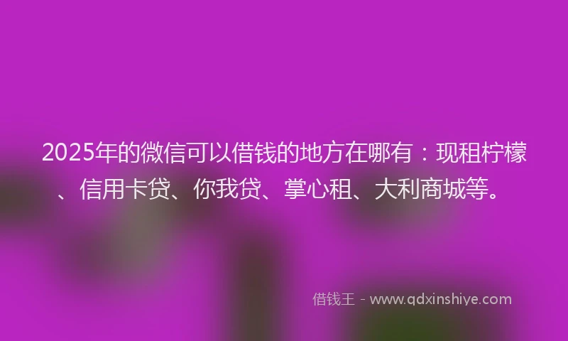 2025年的微信可以借钱的地方在哪有：现租柠檬、信用卡贷、你我贷、掌心租、大利商城等。