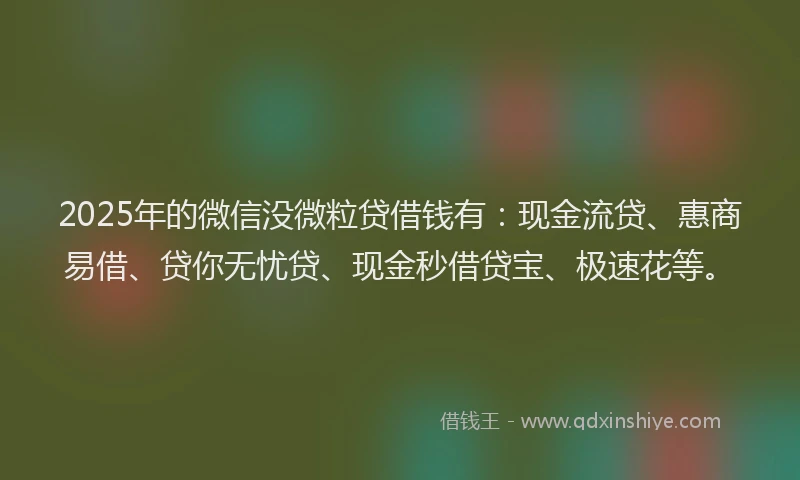 2025年的微信没微粒贷借钱有：现金流贷、惠商易借、贷你无忧贷、现金秒借贷宝、极速花等。