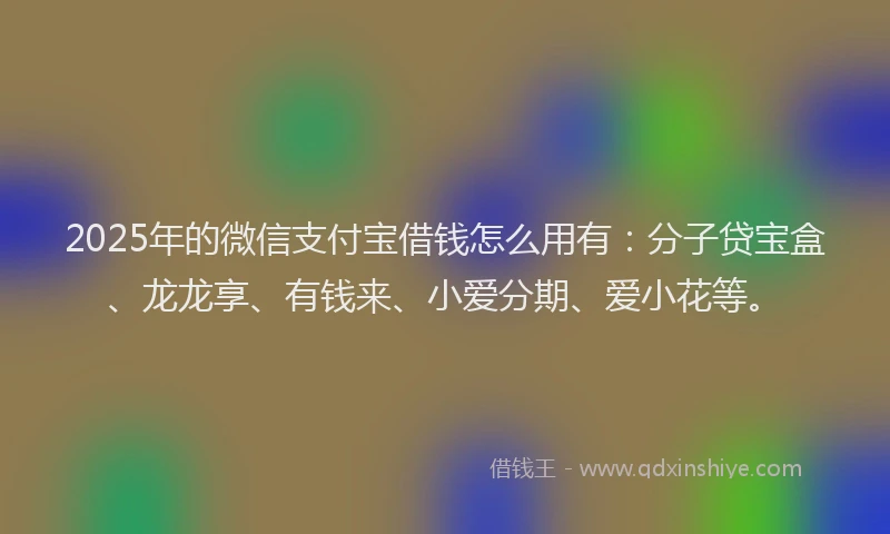 2025年的微信支付宝借钱怎么用有：分子贷宝盒、龙龙享、有钱来、小爱分期、爱小花等。