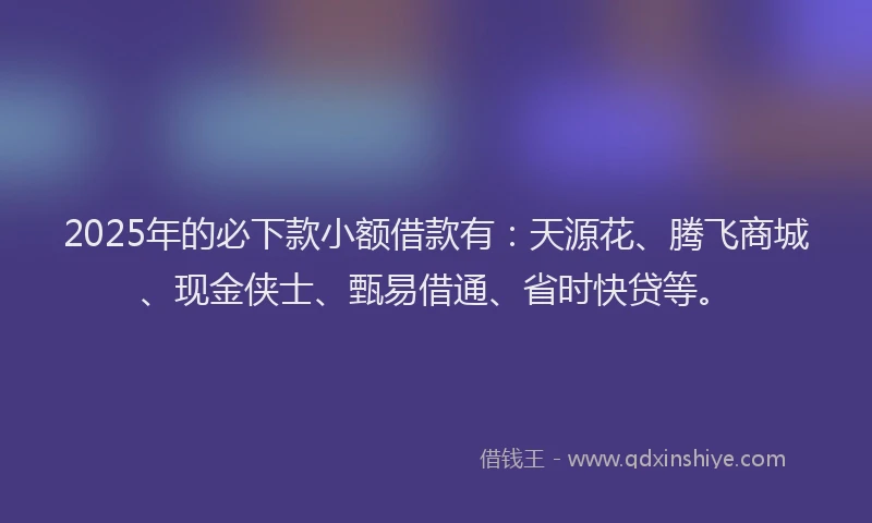2025年的必下款小额借款有：天源花、腾飞商城、现金侠士、甄易借通、省时快贷等。