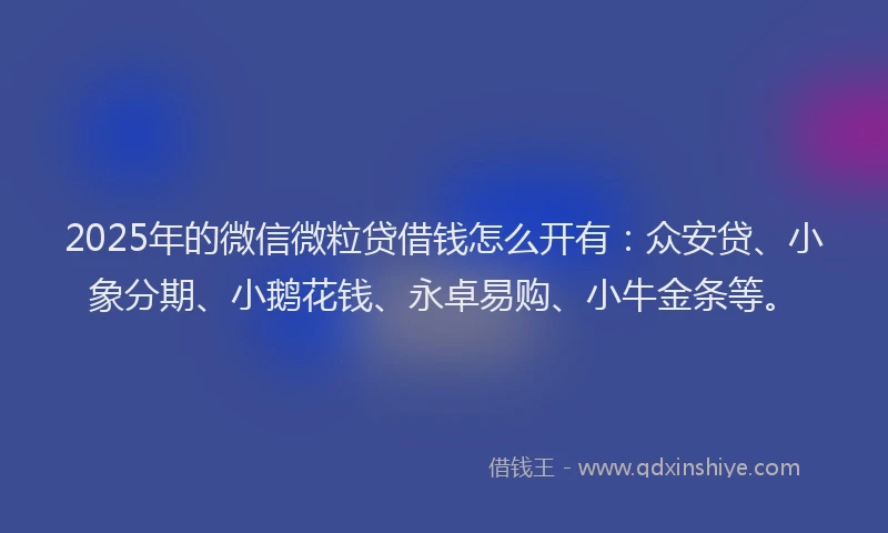 2025年的微信微粒贷借钱怎么开有：众安贷、小象分期、小鹅花钱、永卓易购、小牛金条等。