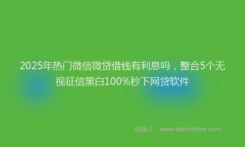 2025年热门微信微贷借钱有利息吗，整合5个无视征信黑白100%秒下网贷软件