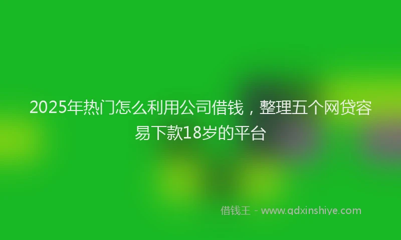 2025年热门怎么利用公司借钱，整理五个网贷容易下款18岁的平台