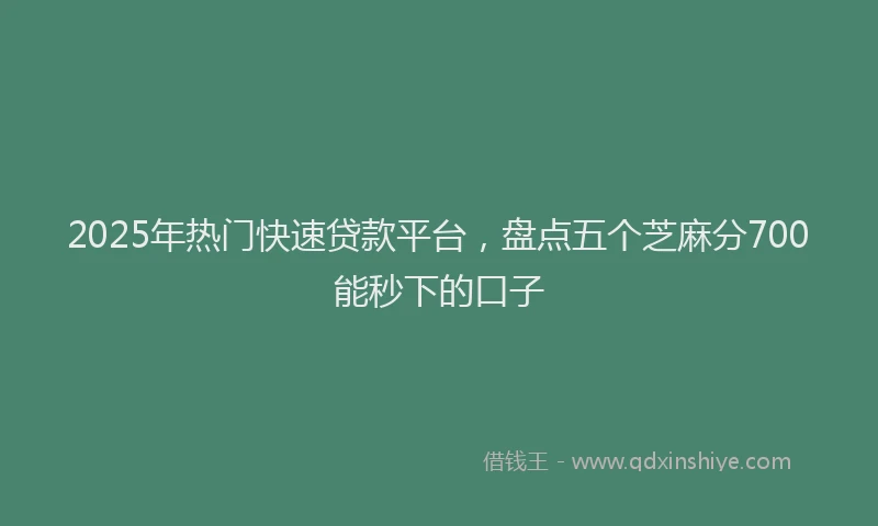 2025年热门快速贷款平台，盘点五个芝麻分700能秒下的口子