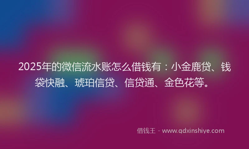 2025年的微信流水账怎么借钱有：小金鹿贷、钱袋快融、琥珀信贷、信贷通、金色花等。