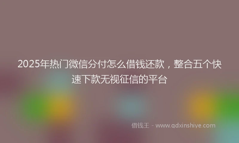 2025年热门微信分付怎么借钱还款，整合五个快速下款无视征信的平台
