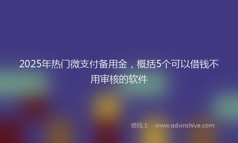2025年热门微支付备用金，概括5个可以借钱不用审核的软件