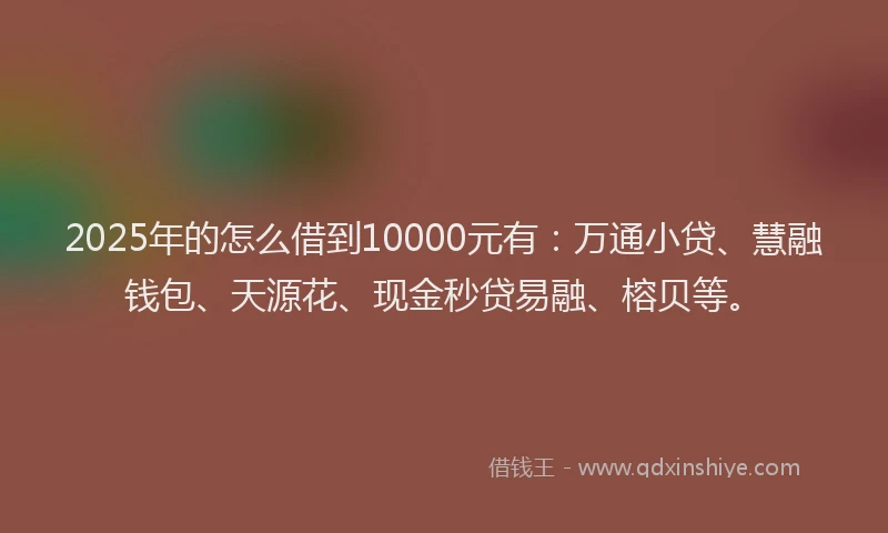 2025年的怎么借到10000元有：万通小贷、慧融钱包、天源花、现金秒贷易融、榕贝等。