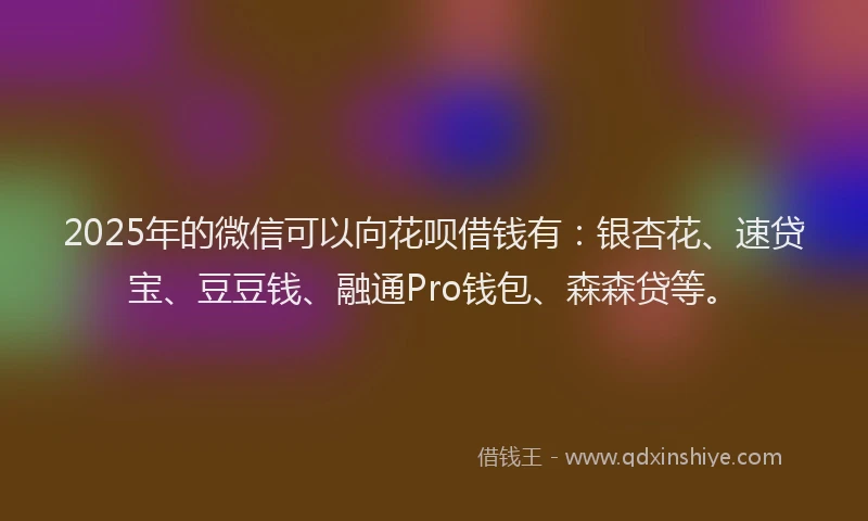 2025年的微信可以向花呗借钱有：银杏花、速贷宝、豆豆钱、融通Pro钱包、森森贷等。