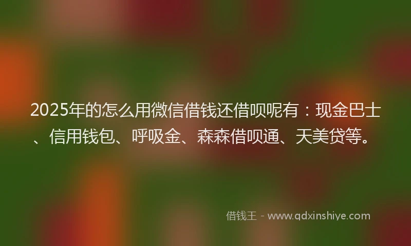 2025年的怎么用微信借钱还借呗呢有：现金巴士、信用钱包、呼吸金、森森借呗通、天美贷等。