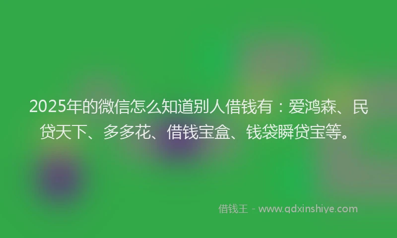 2025年的微信怎么知道别人借钱有：爱鸿森、民贷天下、多多花、借钱宝盒、钱袋瞬贷宝等。