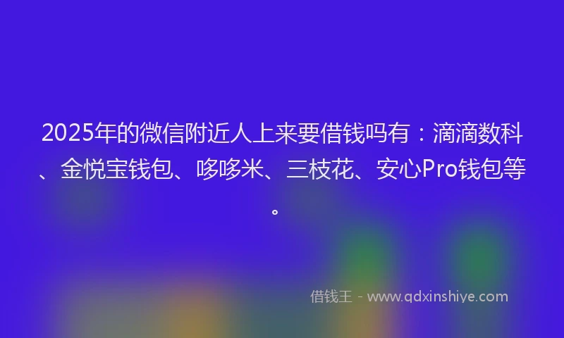 2025年的微信附近人上来要借钱吗有：滴滴数科、金悦宝钱包、哆哆米、三枝花、安心Pro钱包等。