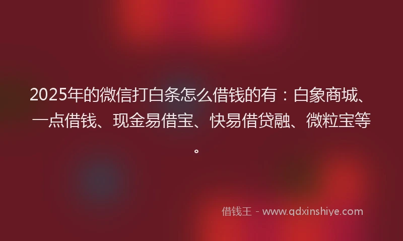 2025年的微信打白条怎么借钱的有：白象商城、一点借钱、现金易借宝、快易借贷融、微粒宝等。