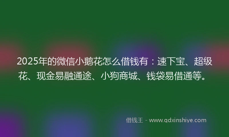 2025年的微信小鹅花怎么借钱有：速下宝、超级花、现金易融通途、小狗商城、钱袋易借通等。