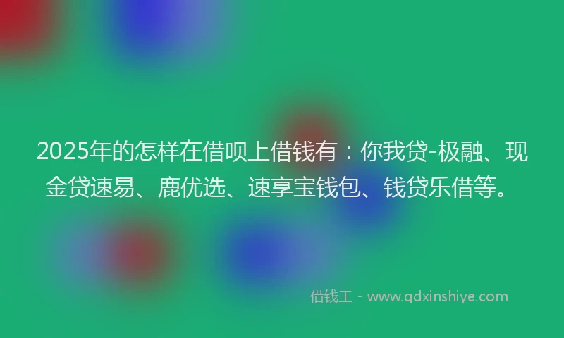 2025年的怎样在借呗上借钱有：你我贷-极融、现金贷速易、鹿优选、速享宝钱包、钱贷乐借等。