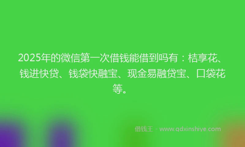2025年的微信第一次借钱能借到吗有:桔享花、钱进快贷、钱袋快融宝、现金易融贷宝、口袋花等。