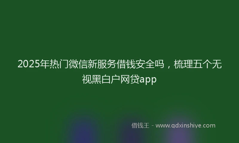 2025年热门微信新服务借钱安全吗，梳理五个无视黑白户网贷app