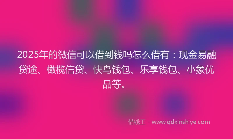 2025年的微信可以借到钱吗怎么借有：现金易融贷途、橄榄信贷、快鸟钱包、乐享钱包、小象优品等。