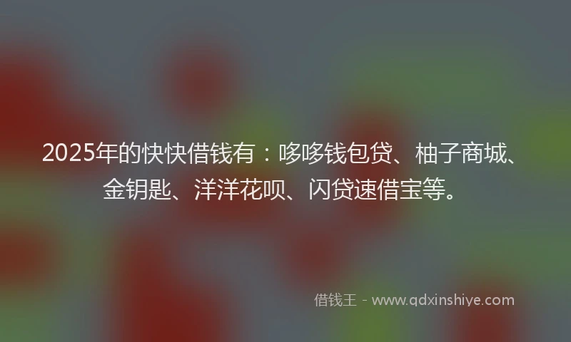 2025年的快快借钱有:哆哆钱包贷、柚子商城、金钥匙、洋洋花呗、闪贷速借宝等。