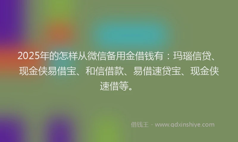 2025年的怎样从微信备用金借钱有：玛瑙信贷、现金侠易借宝、和信借款、易借速贷宝、现金侠速借等。