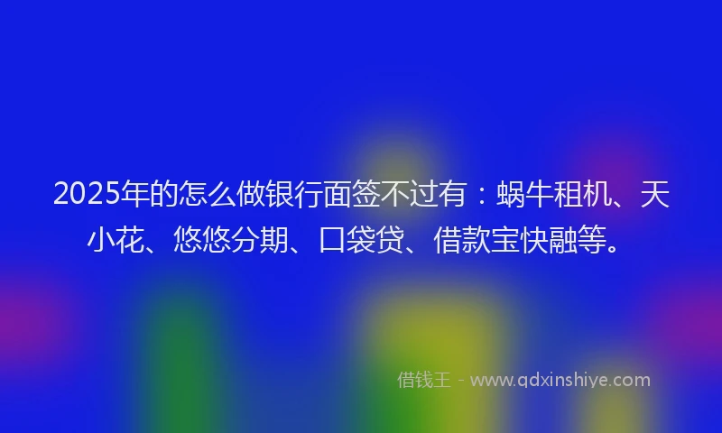 2025年的怎么做银行面签不过有：蜗牛租机、天小花、悠悠分期、口袋贷、借款宝快融等。