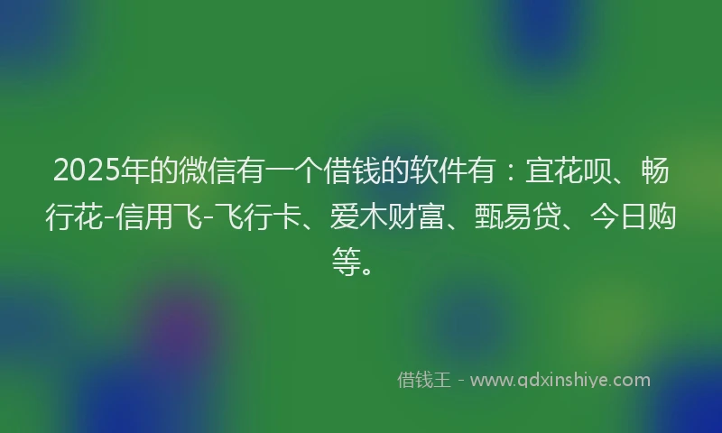 2025年的微信有一个借钱的软件有：宜花呗、畅行花-信用飞-飞行卡、爱木财富、甄易贷、今日购等。