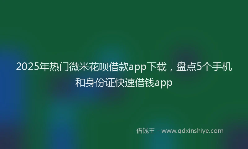 2025年热门微米花呗借款app下载，盘点5个手机和身份证快速借钱app