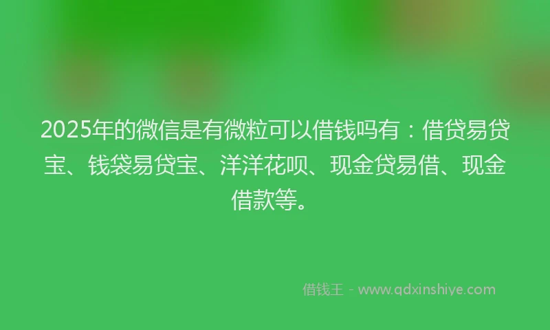 2025年的微信是有微粒可以借钱吗有：借贷易贷宝、钱袋易贷宝、洋洋花呗、现金贷易借、现金借款等。