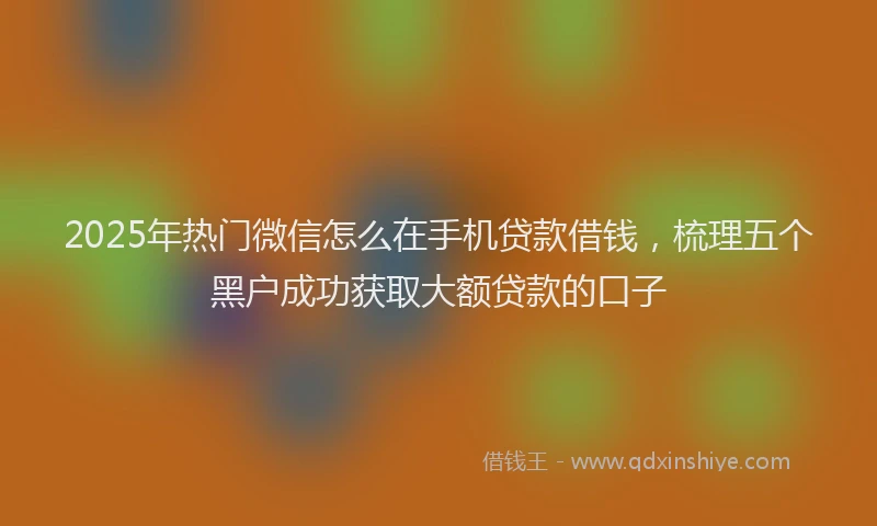 2025年热门微信怎么在手机贷款借钱，梳理五个黑户成功获取大额贷款的口子