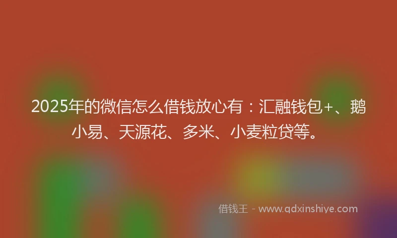 2025年的微信怎么借钱放心有：汇融钱包+、鹅小易、天源花、多米、小麦粒贷等。