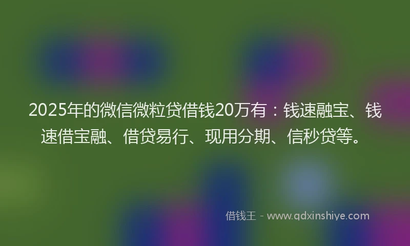 2025年的微信微粒贷借钱20万有：钱速融宝、钱速借宝融、借贷易行、现用分期、信秒贷等。